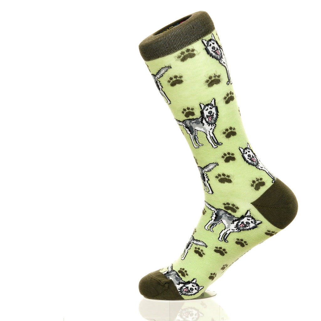 Siberian Husky | Plenty of Pups