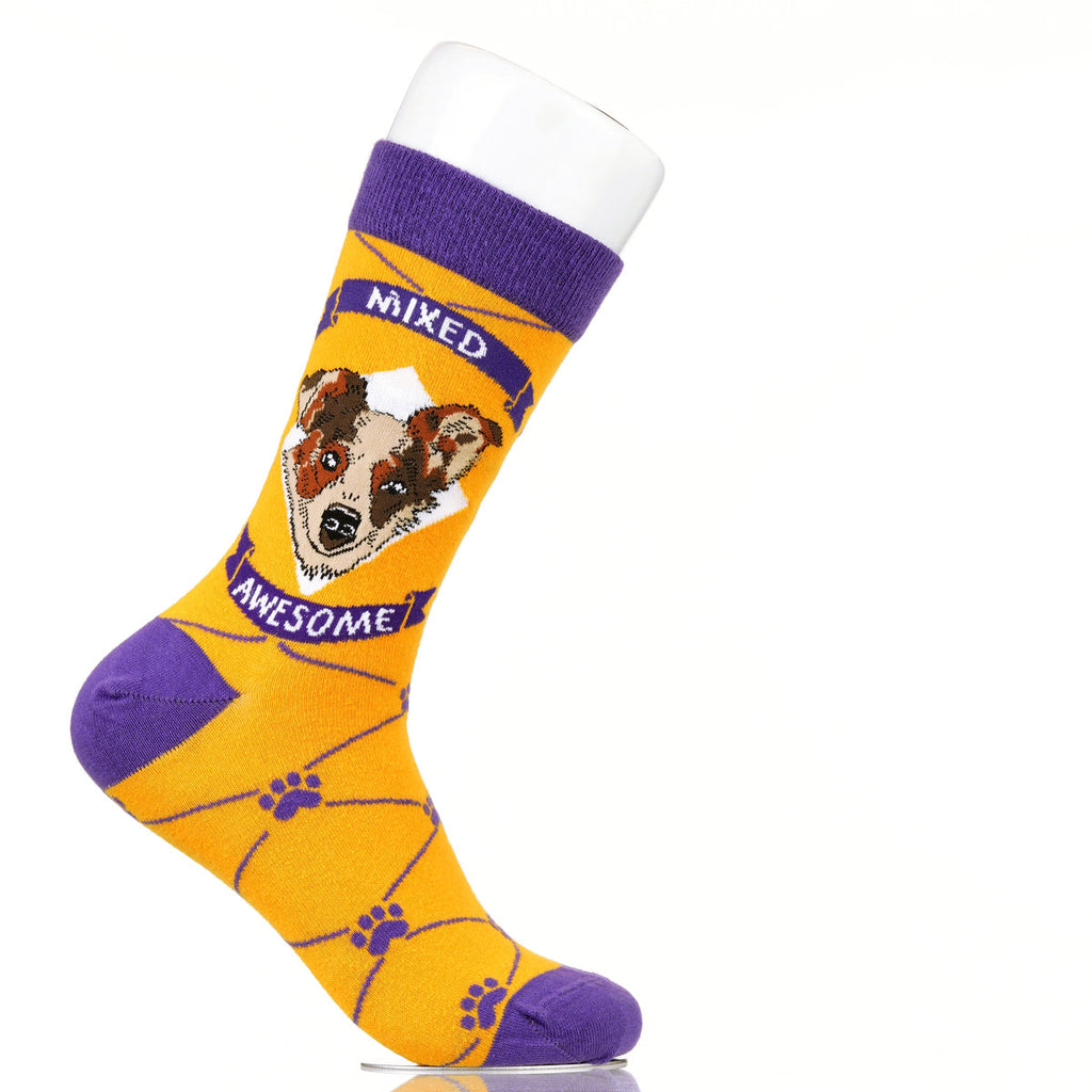 Mixed Awesome | Argyle Pups