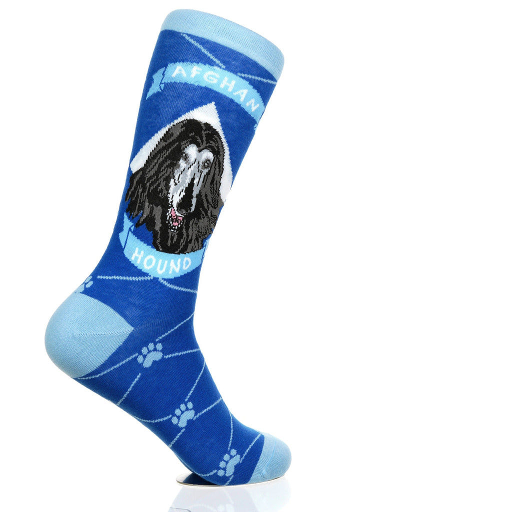 Afghan Hound | Argyle Pups