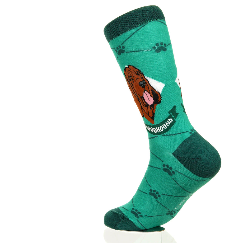 Bloodhound | Argyle Pups