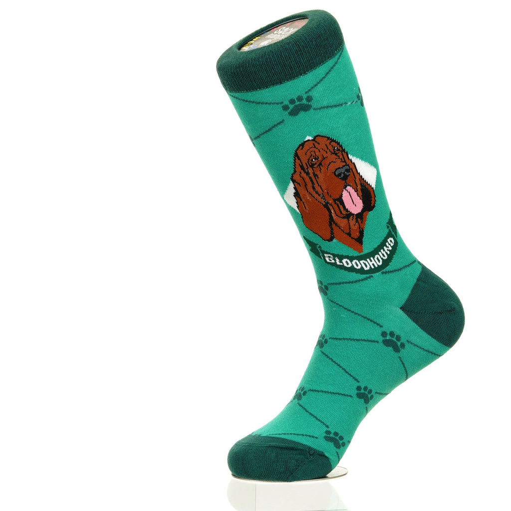 Bloodhound | Argyle Pups