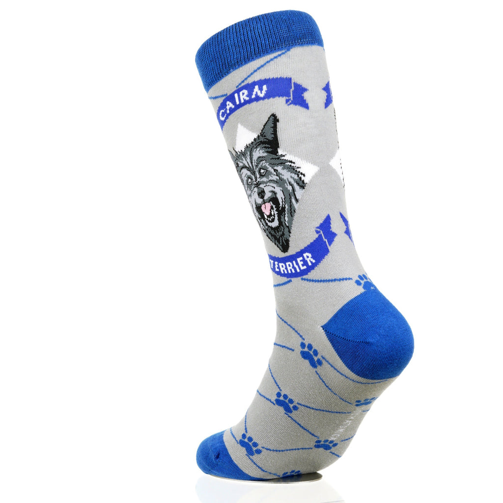 Cairn Terrier | Argyle Pups