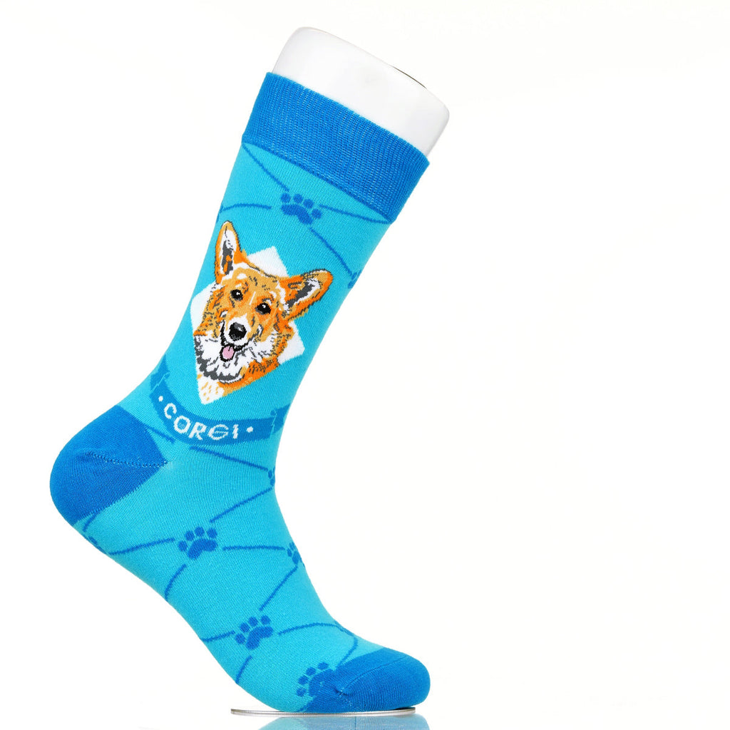 Corgie | Argyle Pups