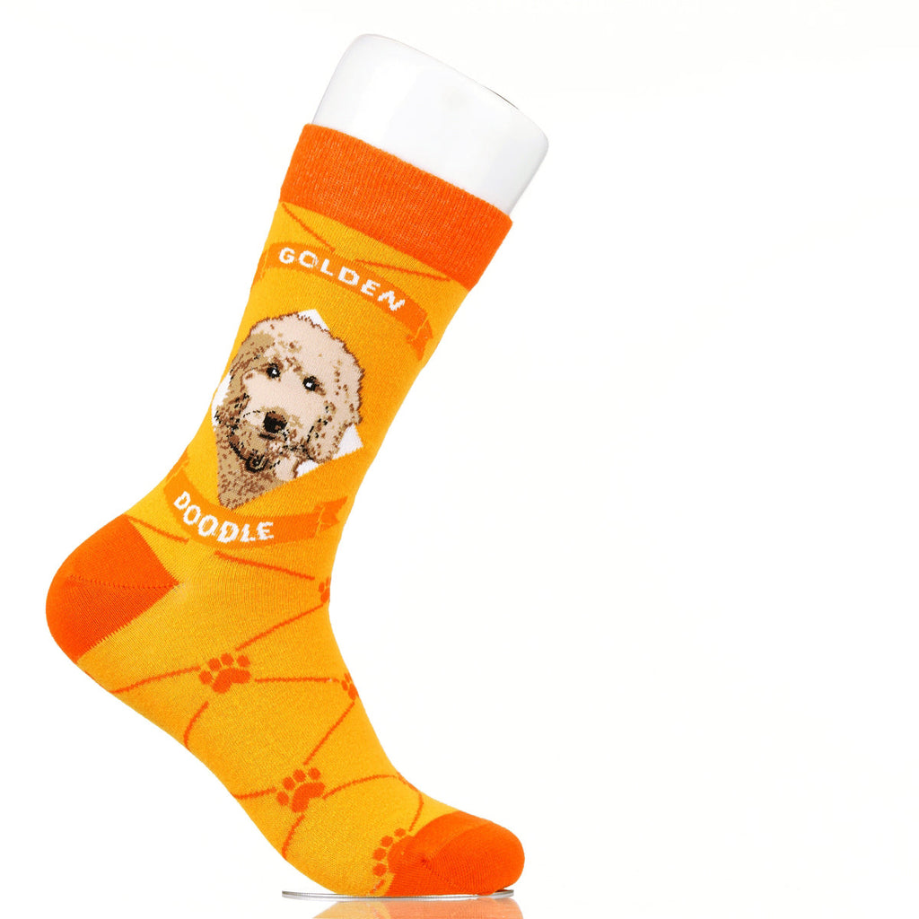 Goldendoodle | Argyle Pups