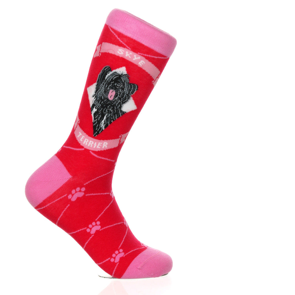 Skye Terrier | Argyle Pups