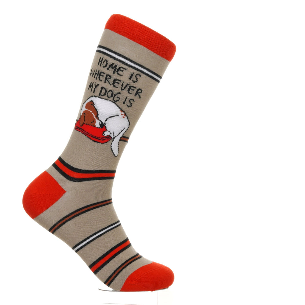 Home Is Where My Dog Is