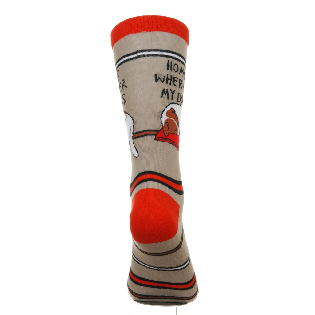 Home Is Where My Dog Is