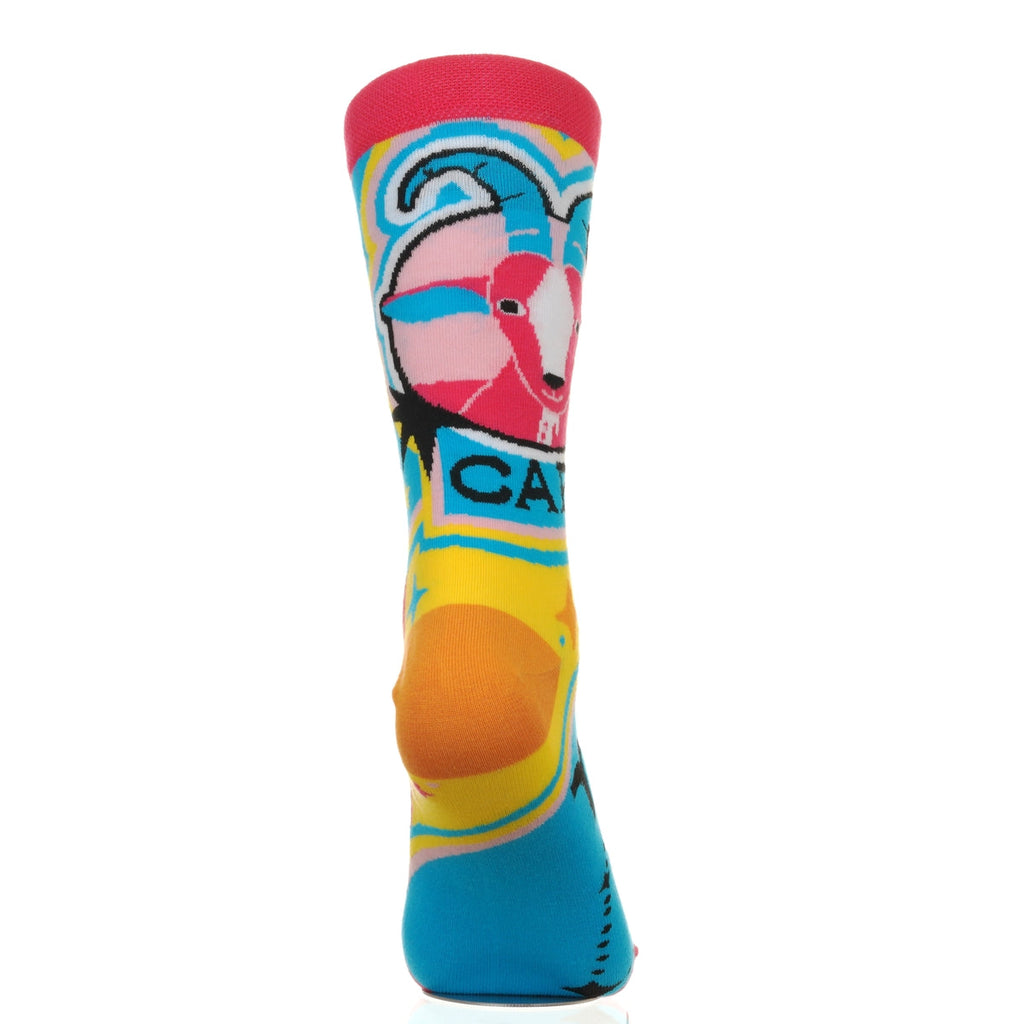 Zodiac Signs Capricorn